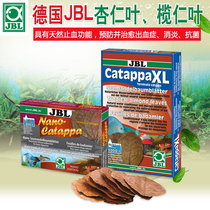 Fish tank landscaping sunken tree forest aquarium decoration submerged lazy German jbl treasure acid inhibition inhibition