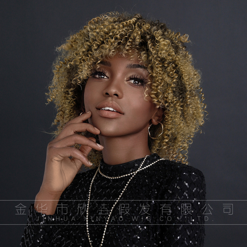 Highlighted Blonde Wig for Women, Curly Short Hair Wig, African Afro Wig, Curly Afro Wigs