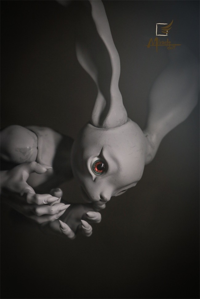miracle_crazyrabbit_05.jpg