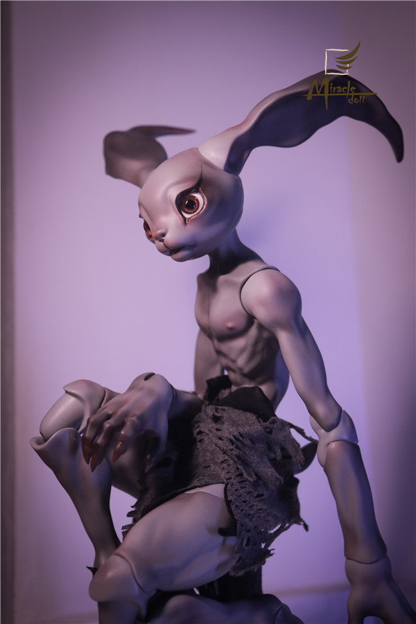 Crazy Rabbit-mc-09.jpg