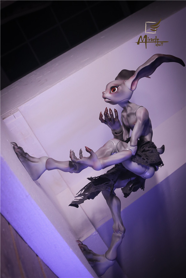 Crazy Rabbit-mc-14.jpg