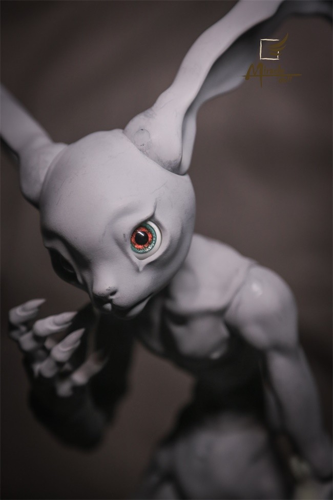miracle_crazyrabbit_03.jpg