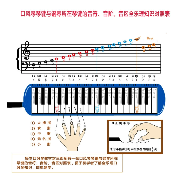 Accordion 37-key 32-class lớp học dạy trẻ cụ dạy nhạc cụ để gửi blowpipe - Nhạc cụ phương Tây