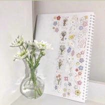 Circular packaging Lu Shisan Studio All Flowers 2 Salt Flowers Flower Handbook Decoration Small Fresh Pet Tape