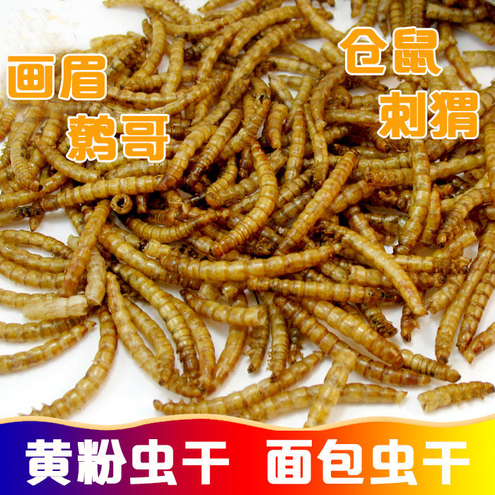 Dried bread worms dried yellow powder worms thrush mynah nutrition bird food hamster food hedgehog golden silk bear turtle food 50g pieces