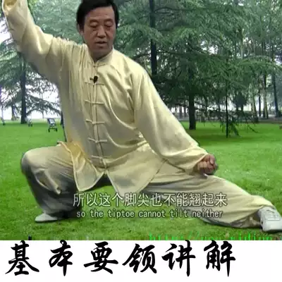 Chen Zhenglei Chen Style 74 Taijiquan Old frame All the Way complete works 5-disc DVD video explanation teaching CD