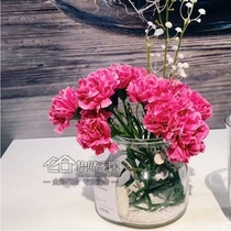 Free Smilia artificial flower Carnation 30cm (Deep Purple deep pink white) domestic IKEA