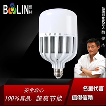 Bolin Guangjue Lighting LED energy-saving lamp household bulb e27 screw chandelier 3w5W engineering bird cage ball bubble
