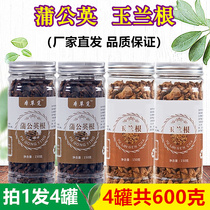 Dandelion root Yulan Genpu Mao Cicory with tea and non-Tongrentang Composition 500g