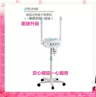 2021 new Silver Fox FD2100 beauty salon hot and cold face steamer sprayer medicine package aromatherapy face steamer factory warranty