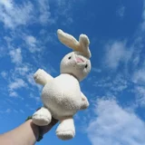 Милый кролик, кукла, плюшевая игрушка, популярно в интернете, подарок на день рождения