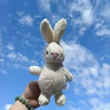 Милый кролик, кукла, плюшевая игрушка, популярно в интернете, подарок на день рождения