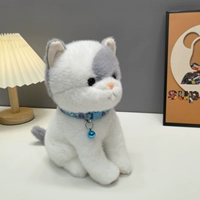 Белл серо-белый кот