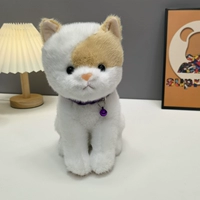 Белл-светлый белый кот