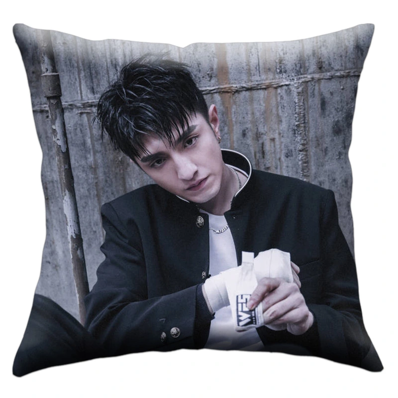 Kim Han nữ thời gian gối Allure bạn và tôi cùng một đoạn Li Zhicheng ảnh sao DIY Cushion tùy chỉnh ngoại vi - Trở lại đệm / Bolsters