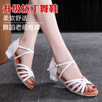 Professional Latin dance shoes for children and girls ballroom dance beginners childrens medium-heeled soft-soled practice dance shoes dance shoes