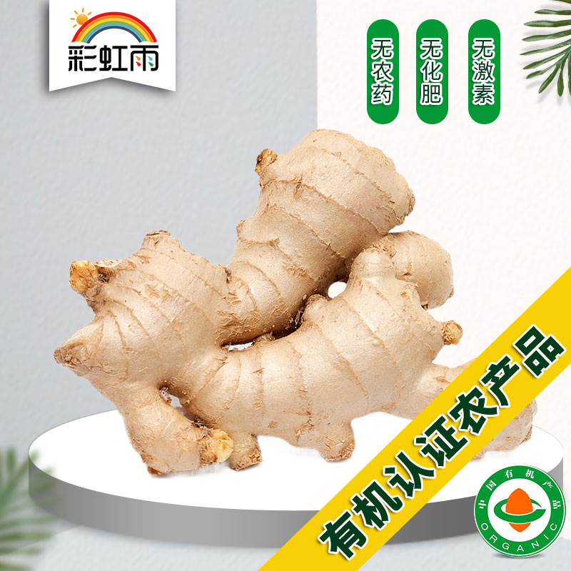 Rainbow Rain Organic Farm Organic Vegetables Organic Ginger 250g Beijing-Tianjin-Hebei Manbai