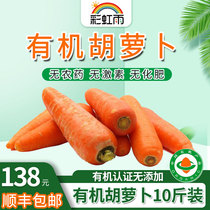 (Base straight hair)Organic vegetables carrots 10 pounds rainbow rain Beijing farm distribution