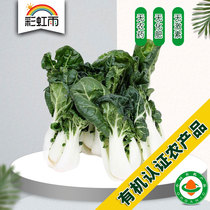 Rainbow Rain Farm Delivery Fresh Organic Vegetables Milk Cabbage 250g National Delivery Full