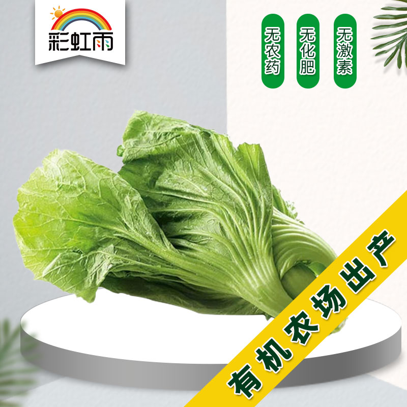 Rainbow Rain Fresh Eco vegetables Cabbage Mustard 250g Nationally Shipped full amount Shunfeng
