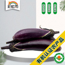 Rainbow Rain Organic Farm Fresh organic vegetables Purple long eggplant 400g Beijing Tianjin and Hebei Manbai