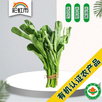 Rainbow Rain Farm Delivery Fresh Organic Vegetable Kale 250g National Delivery Full