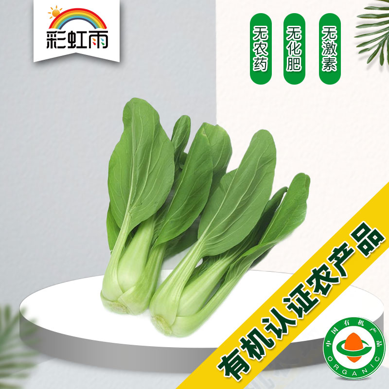 Rainbow Rain Organic Farm Fresh Organic Vegetables Small Rape 250g Beijing-Tianjin-Hebei Full 100 Beijing Distribution