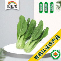 Rainbow Rain Organic Farm Fresh Organic Vegetables Small Rapeseed 250g Beijing-Tianjin-Hebei Full Beijing Distribution