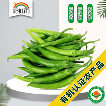 Rainbow rain farm distribution Organic vegetables Hang pepper pepper 250g distribution in the same city