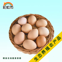 Full hundred rainbow rain forest free-range fresh oil eggs soil eggs firewood eggs 10 pieces