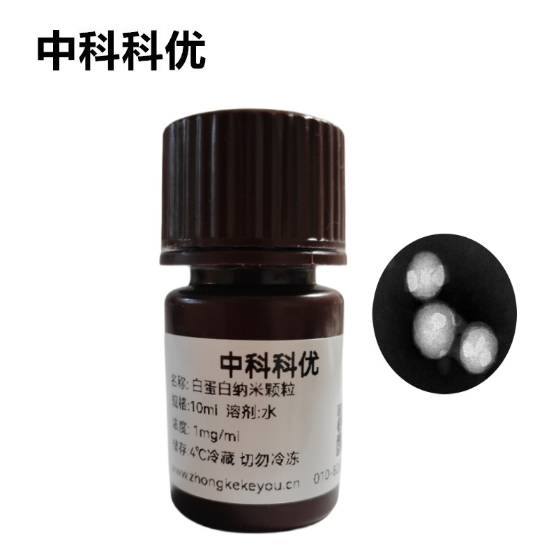 中科科优 白蛋白纳米颗粒 蛋白质纳米粒子 支持定制 官方直营 顺