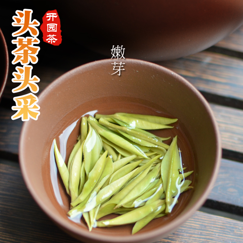 Spot 2022 New Anji White Tea Boutique Tender Sprout former special class Zhengzong Kaiyuan Xiaosprout Head Tea Head 50g