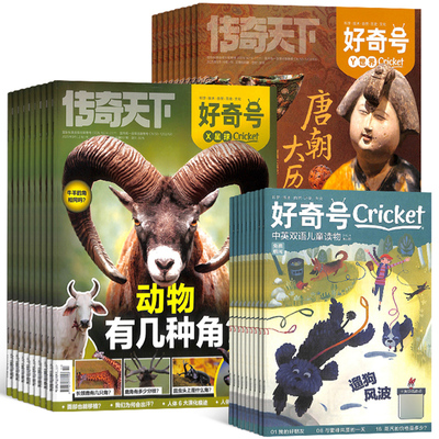 【12个月订阅】 好奇号杂志 2025年7月起订共12期 杂志铺 6-12岁小学生书籍非好气号万物阳光少年报