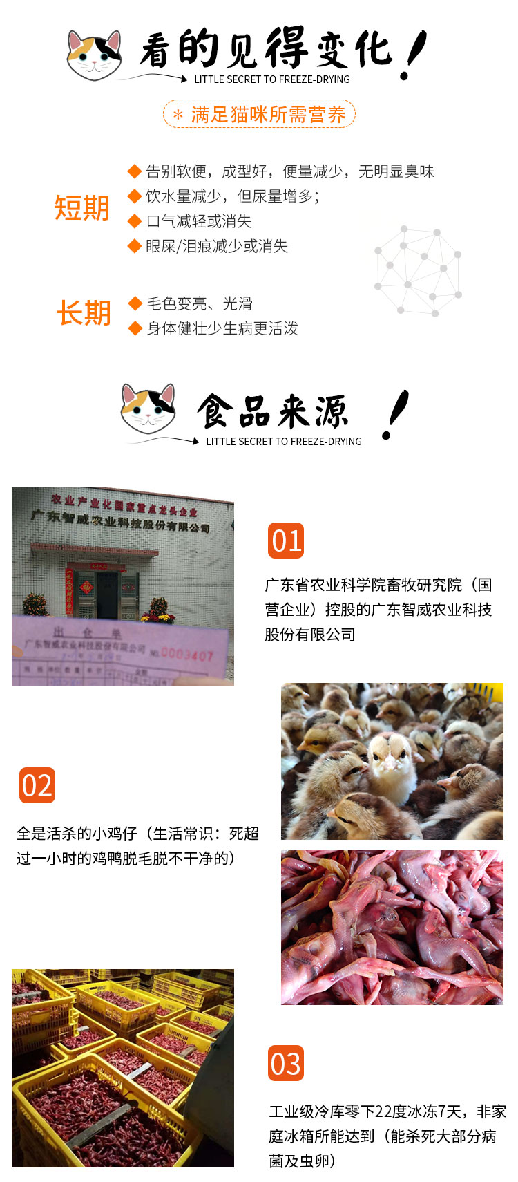 Thức ăn tự nhiên cho mèo sống Thịt gà đông lạnh nguyên chất lạnh tự chế cho trẻ sơ sinh vật nuôi rắn cho chó ăn cơm đóng hộp 5 kg Nổ - Cat Staples thức ăn cho mèo gần đây