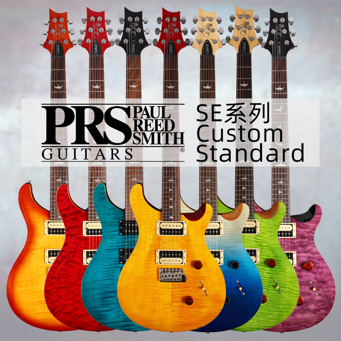 PrS SE Custom Series Standard Series Electric Guitar Single Shake Small Double Shake