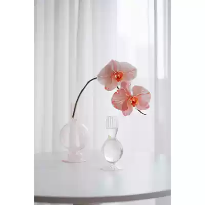 Soft chiffon yarn transparent to people home curtain photo background