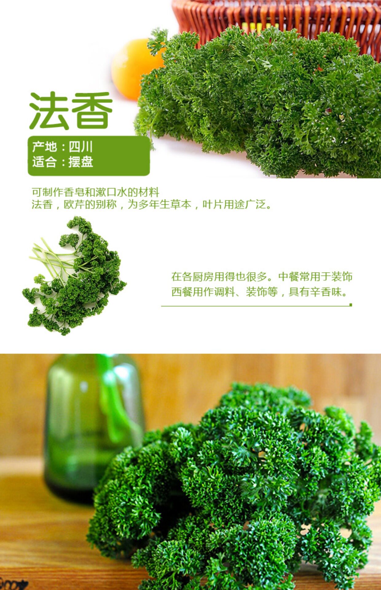 发香蔬菜,自带香味的植物叶子,100种香料认识及图片(第6页)_大山谷图库