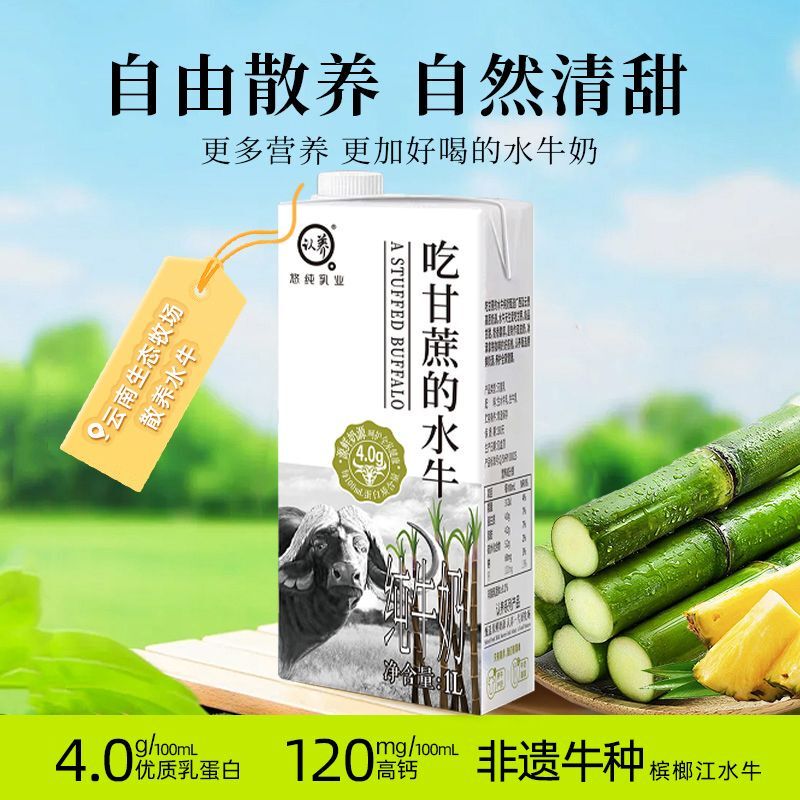 Adopted Buffalo Milk Drinking from Sugarcane 1L*12 Boxes for Adults and Students, Breakfast, Baking, Coffee, Milk Tea Ingredients