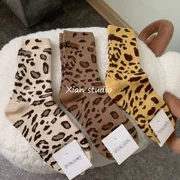 Yangqi Wild Han Fan in super fire Leopard cọc cọc vớ vớ vớ nữ mùa thu và mùa đông 6 màu vào D