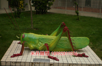 Arthropods models locusts mollusks mollusks mollusks models snails protozoa grass falseum biogarden models