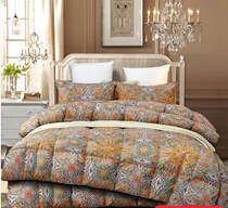 Olive Selected Duvet Duvet 2 Piece 95 White Duck Down Oriental CJ Shopping