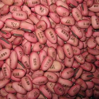 Красная фасоль случайная