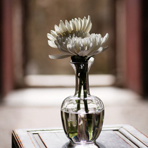  Glass vase Countertop flower arrangement Tea mat Flower arrangement Flower vase Transparent hydroponic vase Crane head flower into jade net bottle Guanyin bottle