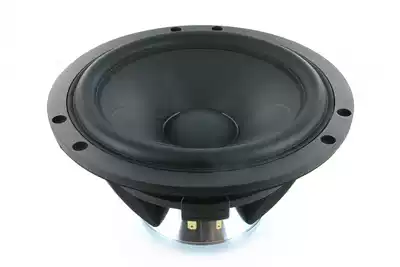 Denmark SCAN-SPEAK GENTLEMAN TREASURE 18WU 4741T00 8741T00 subwoofer monomer