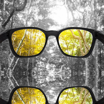 Enchroma color blind glasses Ellis Ellis Ellis Cx3 outdoor sun glasses original overseas direct mail