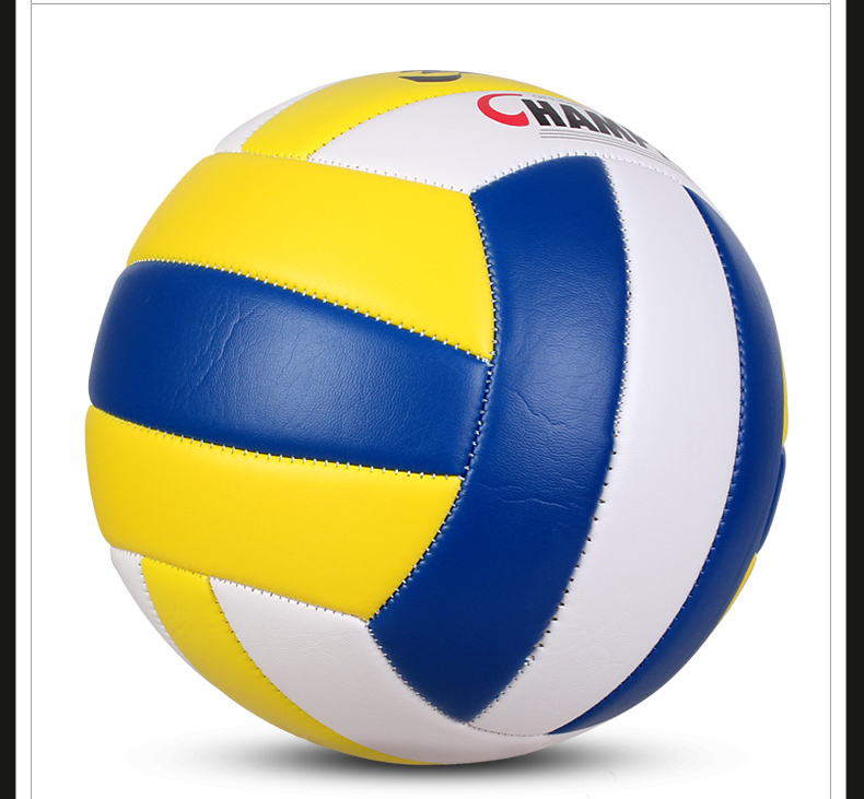 Ballon de volley - Ref 2007899 Image 15