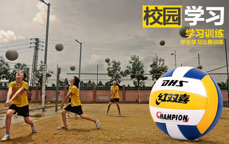 Ballon de volley - Ref 2007899 Image 9