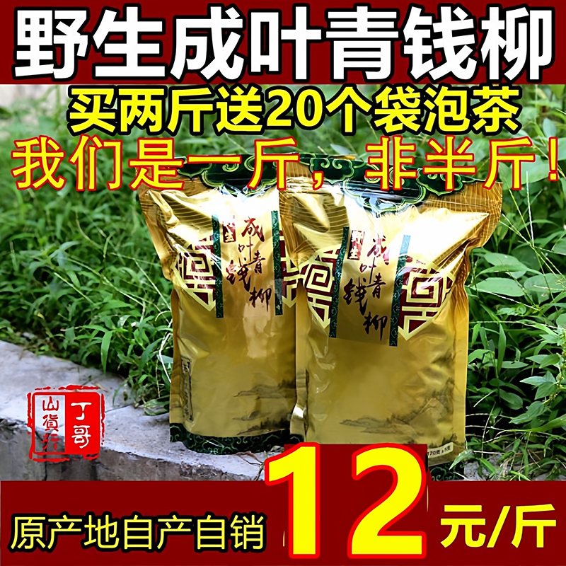 Wild Green Money Willow Tea, Century-Old Ancient Tree Green Money Willow Health Tea, Mature Leaf Tea, Money Willow 