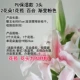 Lmdec giả da hoa giả hoa giả hoa bảo vệ hoa trang trí cắm hoa nhân tạo hoa lily sàn cắm hoa - Hoa nhân tạo / Cây / Trái cây