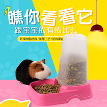 Rabbit Dutch pig ChinChin automatic feeder Pet Bowl Food Bowl squirrel Dutch pig ferret Bowl